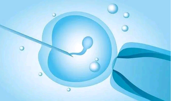 广西知名捐卵公司 2023
广西壮族自治区南溪山医院试管婴儿费用明细 ‘孕囊大