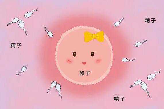 广西供卵咨询 广西壮族自治区妇幼保健院 ‘通过孕囊值看男女’