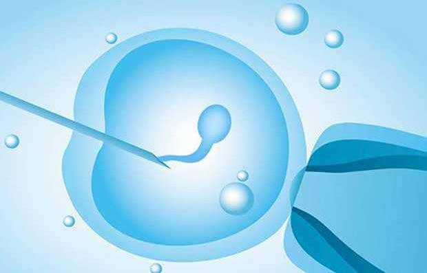2023郑州借卵试管医院排名公开附河南前三供卵机构详细介绍-广西代孕网